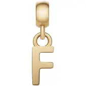 Daniel Wellington Pendentif plaqué or lettre F Charms DW00400489