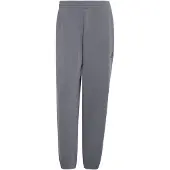 Adidas Pantalon de sport 'Soft Lux' gris