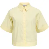 Object À Manches Courtes Chemise
