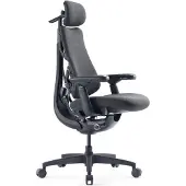 Usorteret Omni Gen Folding Chair Noir