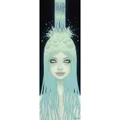 Heye Puzzle 1000 pièces Crystal Waterfall 29785