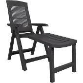 vidaXL Bain de soleil anthracite plastique