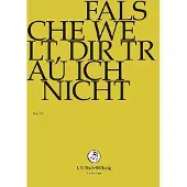OUTHERE Falsche weltdir trau ich DVD