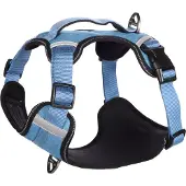 Flamingo Heron Dog Harness Bleu 58-76 cm x 25 mm