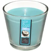 Atmosphera Bougie Parfumée Noix de coco Pot en verre 190 G