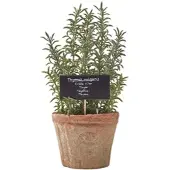 Homescapes Plante aromatique artificielle en pot, Thym