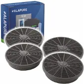 Alapure Filtre à charbon actif adapté pour Indesit C00308167