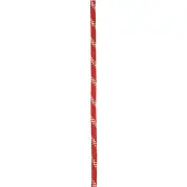 Edelrid Corde Static Low Stretch 11.0 Mm
