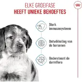Royal Canin Medium Puppy 2x1 kg karma sucha dla szczeniąt, od 2 do 12 miesiąca, ras średnich