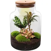 Urbanjngl Diy Terrarium - Milky - ↕ 30 Cm
