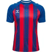 Hummel T-Shirt fonctionnel 'Match' bleu / rouge sang / blanc