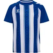 Hummel T-Shirt fonctionnel bleu / blanc