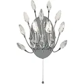 Searchlight Applique Peacock Cristal
