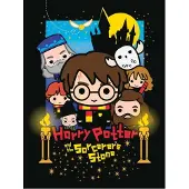 Erik Cadre Canvas Harry Potter The Sorcerer's Stone