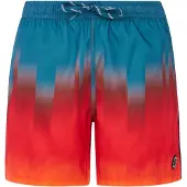 Protest Bowery Swimming Shorts Rouge XS Homme