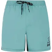 Protest Ben Swimming Shorts Vert XS Homme