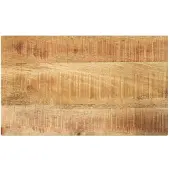 vidaXL Dessus de table rectangulaire bois massif de manguier brut