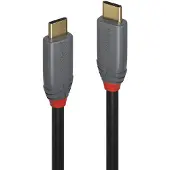 Lindy Anthra Line - Câble USB - 24 pin USB-C (M) pour 24 pin USB-C (M) - USB 3.1 - 1 m - rond - noir