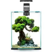 Aquael Shirmp D And N Complete Aquarium 19l Noir