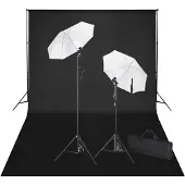 vidaXL Kit de studio et toile de fond noire 600 x 300 cm et lumières