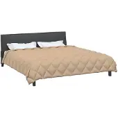 vidaXL Couverture d'hiver 220 x 240 cm, 450 g/m², couleur taupe