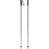 Atomic Redster Q Poles Argenté 125 cm