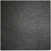 vidaXL Tapis de porte noir 100x200 cm fibre de coco touffeté