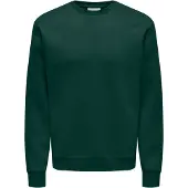 Only & Sons Sweat-shirt 'ONSCERES' sapin