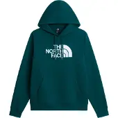 The North Face Sweat-shirt 'M ESS DP REG HODDIE FELPA' vert