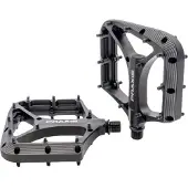 Praxis Brodium G2 Pedals Argenté