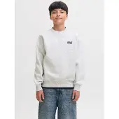 Jack & Jones Kids Junior Sweat 'JJEColton' gris clair