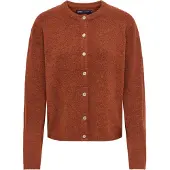 ONLY Cardigan 'ONLSimoni' rouge rouille