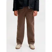 Jack & jones Junior Pantalon 'JPSTALEX ANDREJ' chocolat