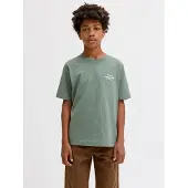 Jack & Jones Junior T-Shirt 'JORNORREBRO' menthe / blanc