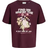 Jack & Jones Kids T-Shirt 'JXSANDRA' crème / bleu clair / kaki / lie de vin