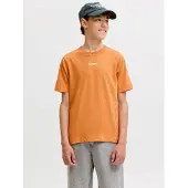 JACK&JONES JUNIOR Junior T-Shirt orange