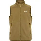 The North Face Gilet de sport 'GLACIER' beige