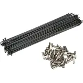 Cinema Bmx Rayons Stainless Steel