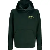 JACK&JONES JUNIOR Junior Sweat 'JJEBrandes' jaune / vert foncé
