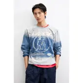 Desigual T-Shirt bleu / bleu clair