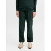 Jack & jones Junior Pantalon 'JJIGORDON' sapin