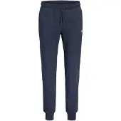 Jack & jones Plus Pantalon 'JPSTGORDON' marine / blanc