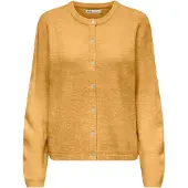 ONLY Cardigan 'ONLSIMONI' miel