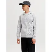 Jack & Jones Junior Sweat 'JJECorp' gris clair