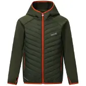 Regatta Andreson Jacket Vert 14 Years Enfants