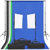 vidaXL Kit de studio photo avec éclairage et toile de fond