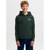 JACK&JONES JUNIOR Junior Sweat 'JJEBrandes' jaune / vert foncé