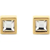 Calvin Klein Essential Links Earrings Doré Homme