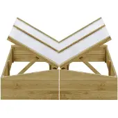 vidaXL Serres 2 pcs. Bois de pin imprégné 100x50x35 cm