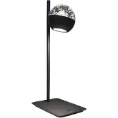 Steinhauer Lampe de bureau à LED Belluno noir avec verre - ajustable